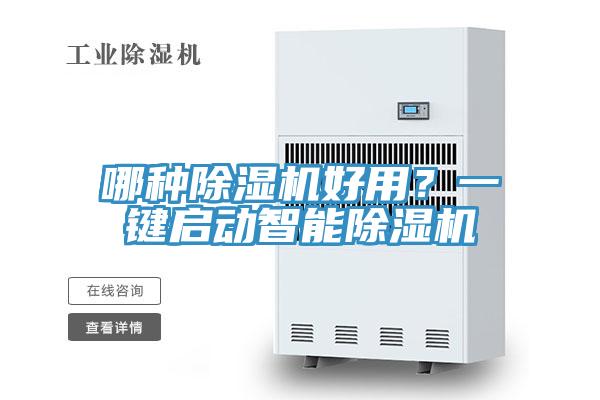 哪種91看片网站好用？一鍵啟動智能91看片网站