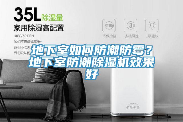 地下室如何防潮防黴？地下室防潮91看片网站效果好