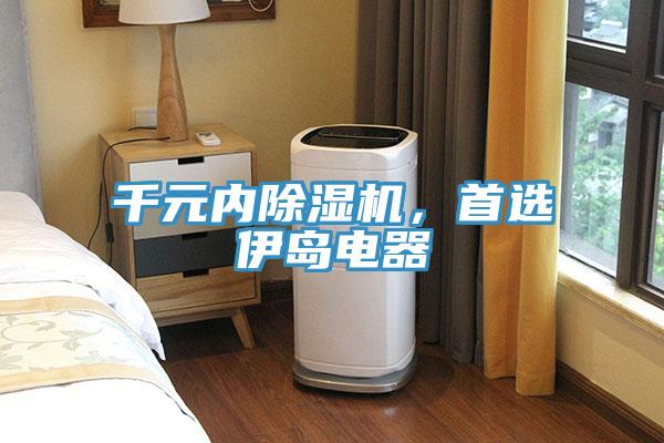 千元內91看片网站，首選伊島電器