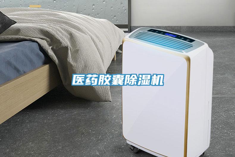 醫藥膠囊91看片网站