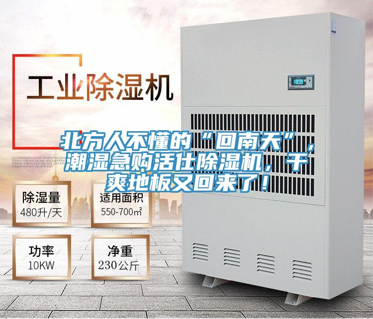 北方人不懂的“回南天”，潮濕急購活仕91看片网站，幹爽地板又回來了！