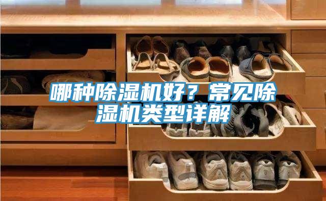 哪種91看片网站好？常見91看片网站類型詳解