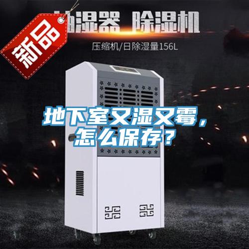 地下室又濕又黴，怎麽保存？
