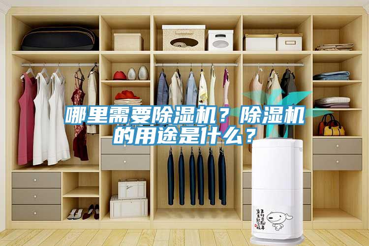 哪裏需要91看片网站？91看片网站的用途是什麽？