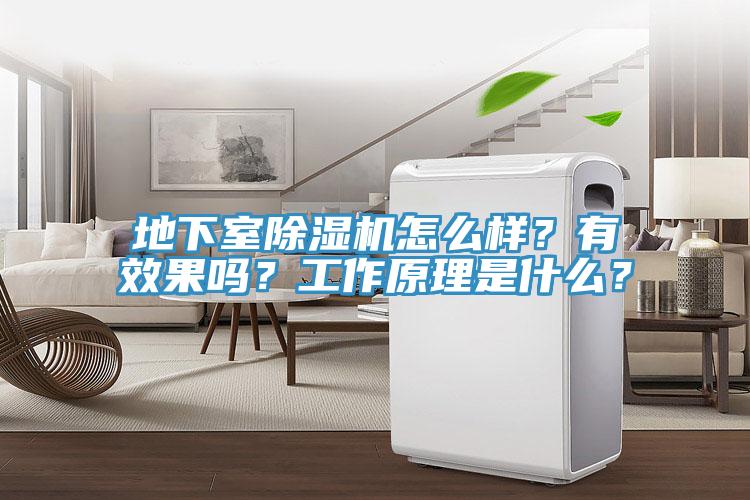 地下室91看片网站怎麽樣？有效果嗎？工作原理是什麽？