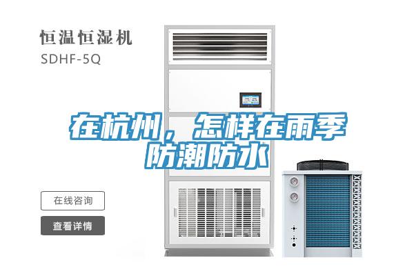 在杭州，怎樣在雨季防潮防水