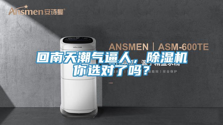 回南天潮氣逼人，91看片网站你選對了嗎？
