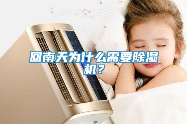 回南天為什麽需要91看片网站？