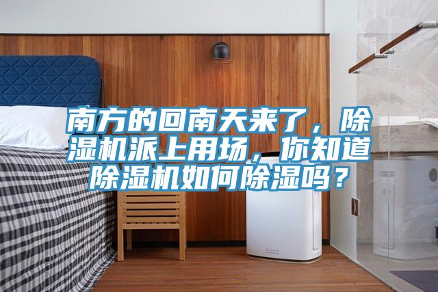 南方的回南天來了，91看片网站派上用場，你知道91看片网站如何除濕嗎？
