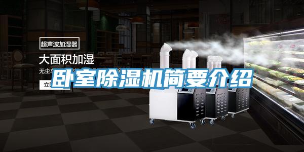 臥室91看片网站簡要介紹