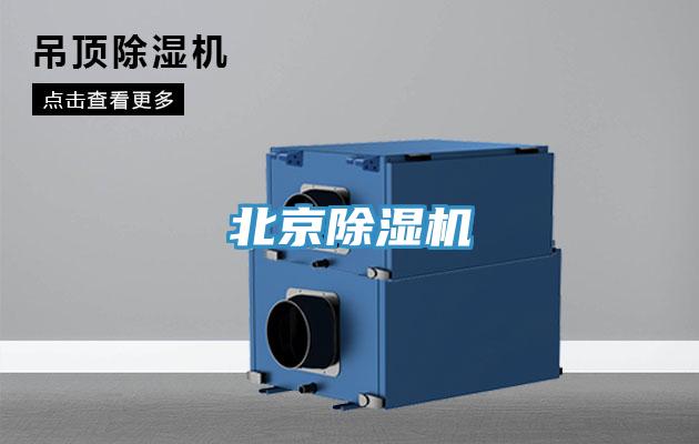北京91看片网站
