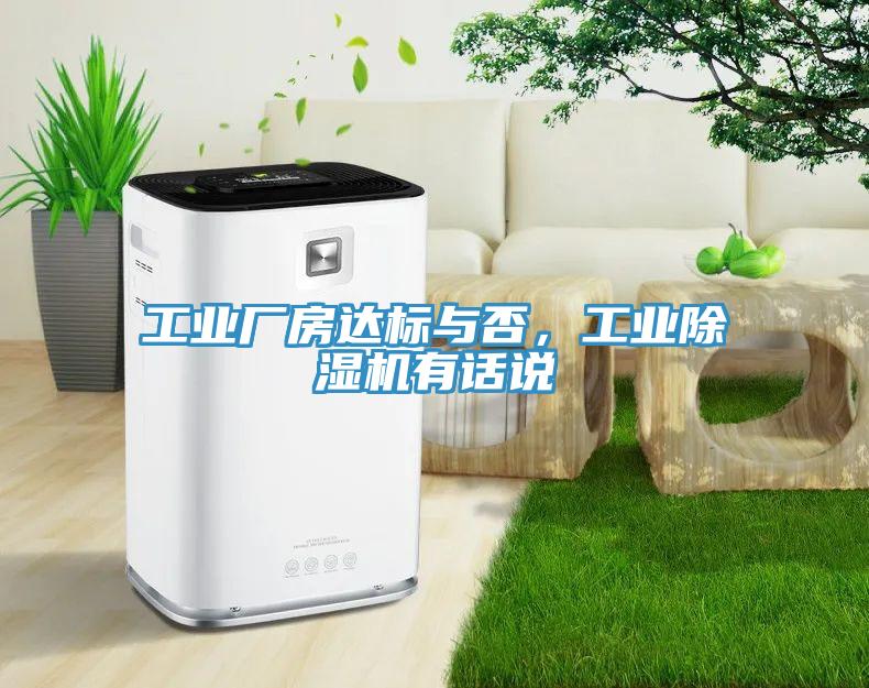 工業廠房達標與否，工業91看片网站有話說