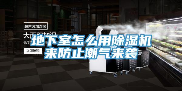 地下室怎麽用91看片网站來防止潮氣來襲