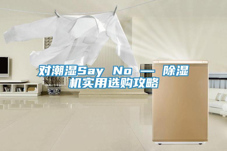 對潮濕Say No — 91看片网站實用選購攻略
