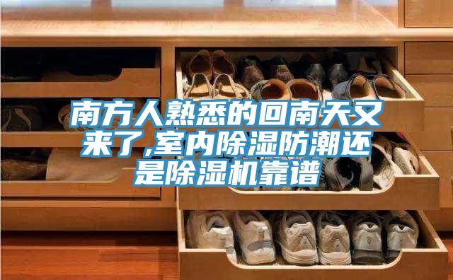 南方人熟悉的回南天又來了,室內除濕防潮還是91看片网站靠譜