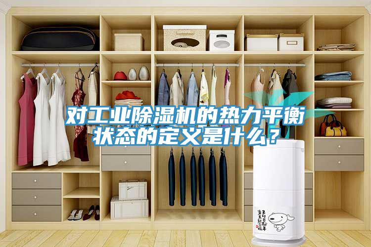 對工業91看片网站的熱力平衡狀態的定義是什麽？