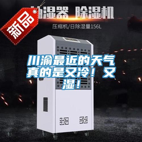 川渝最近的天氣真的是又冷！又濕！