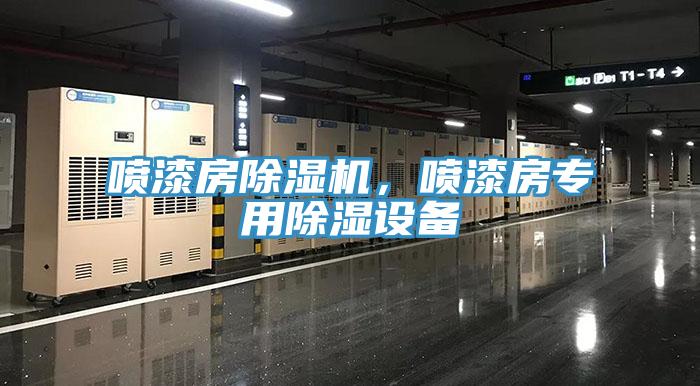 噴漆房91看片网站，噴漆房專用除濕設備