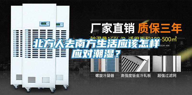 北方人去南方生活應該怎樣應對潮濕？