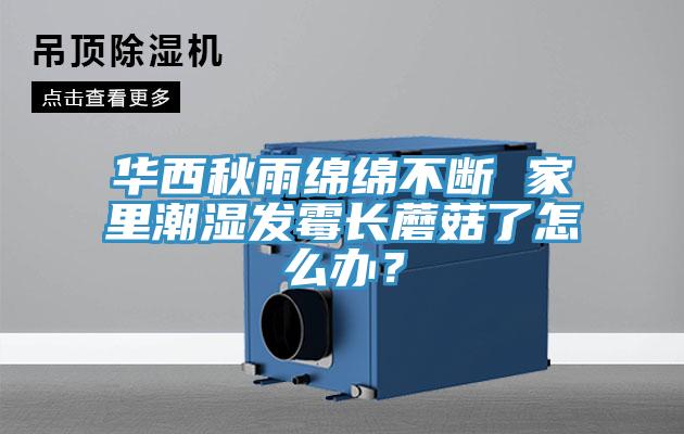華西秋雨綿綿不斷 家裏潮濕發黴長蘑菇了怎麽辦？