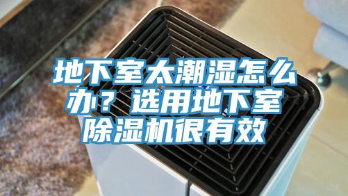 地下室太潮濕怎麽辦？選用地下室91看片网站很有效