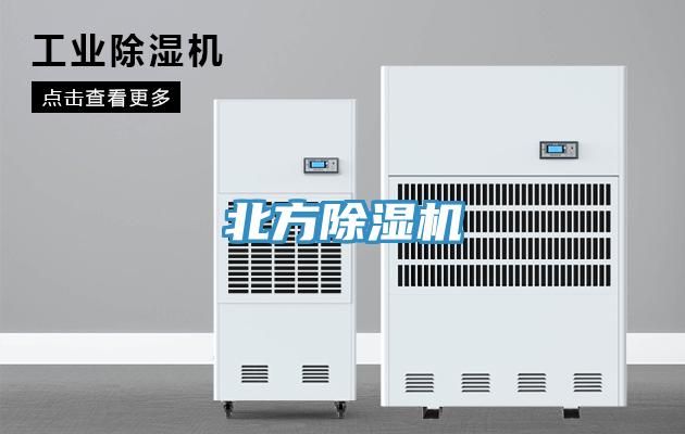 北方91看片网站