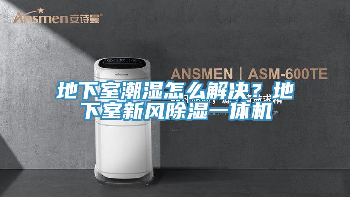 地下室潮濕怎麽解決？地下室新風除濕一體機