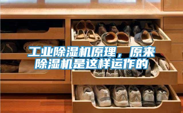 工業91看片网站原理，原來91看片网站是這樣運作的