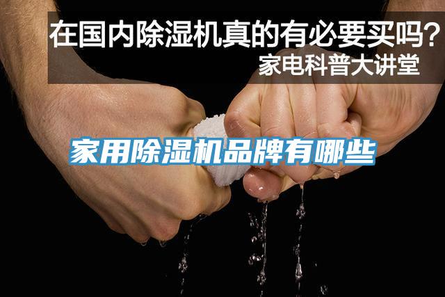 家用91看片网站品牌有哪些