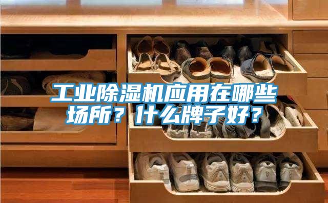 工業91看片网站應用在哪些場所？什麽牌子好？