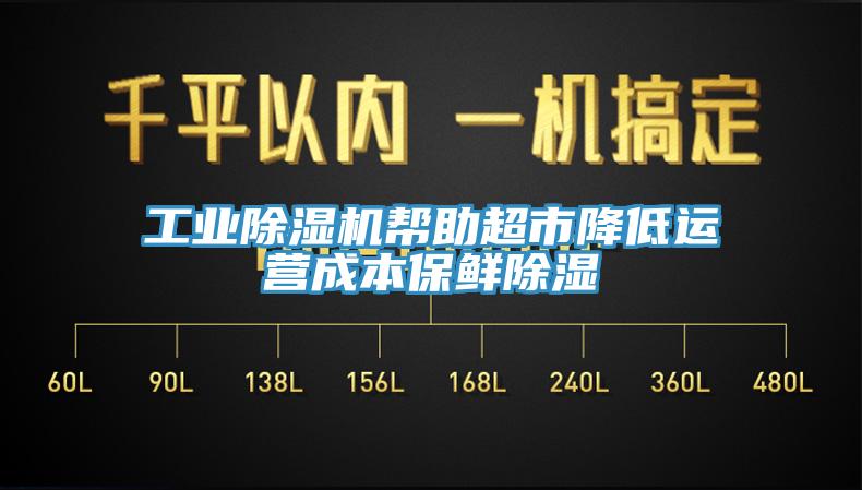 工業91看片网站幫助超市降低運營成本保鮮除濕