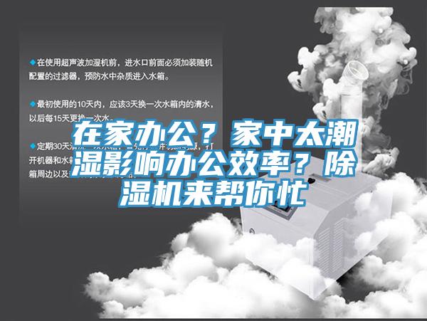 在家辦公？家中太潮濕影響辦公效率？91看片网站來幫你忙
