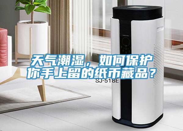 天氣潮濕，如何保護你手上留的紙幣藏品？
