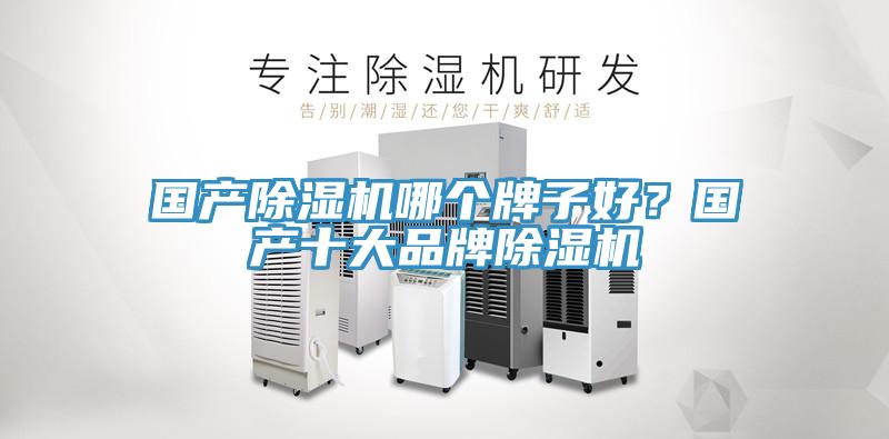 國產91看片网站哪個牌子好？國產十大品牌91看片网站