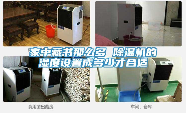 家中藏書那麽多 91看片网站的濕度設置成多少才合適