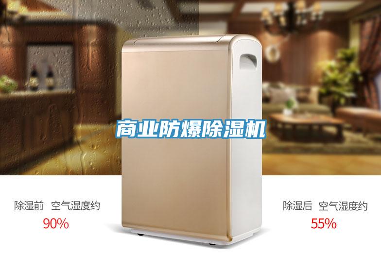 商業防爆91看片网站