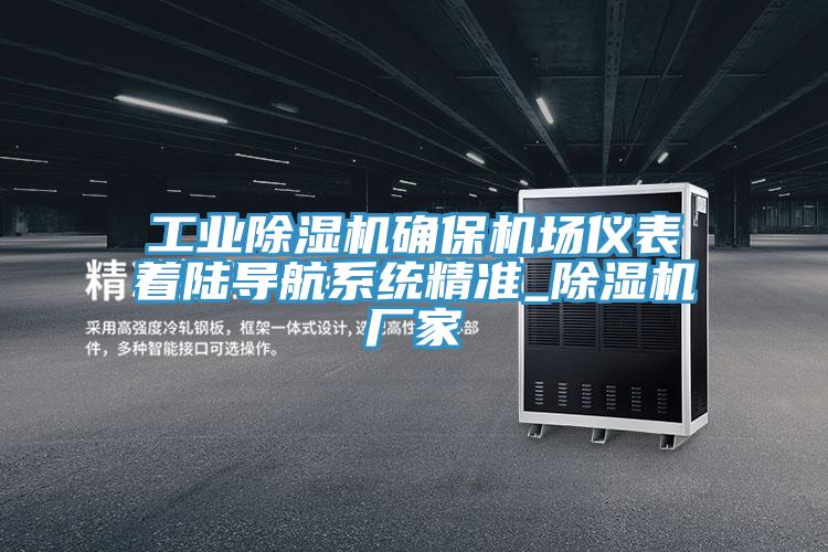工業91看片网站確保機場儀表著陸導航係統精準_91看片网站廠家