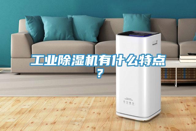 工業91看片网站有什麽特點？