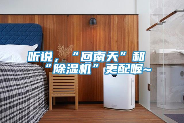 聽說，“回南天”和“91看片网站”更配喔~