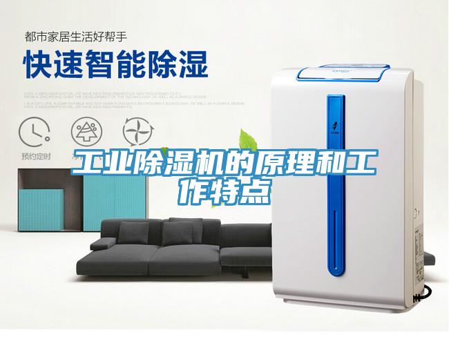 工業91看片网站的原理和工作特點
