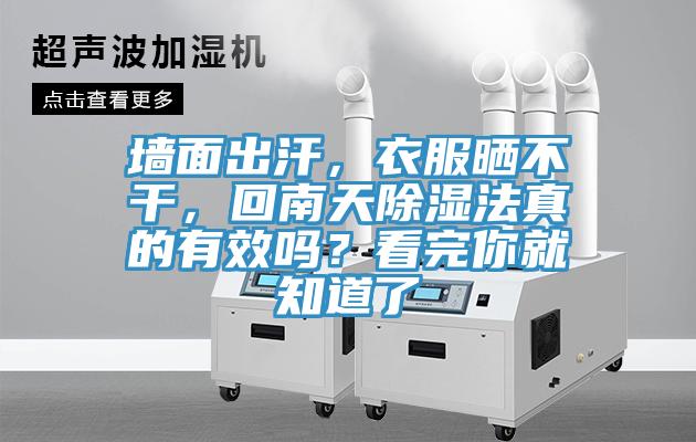 牆麵出汗，衣服曬不幹，回南天除濕法真的有效嗎？看完你就知道了