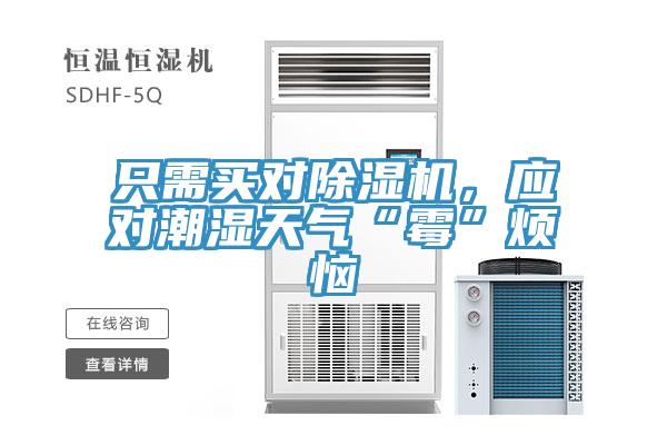 隻需買對91看片网站，應對潮濕天氣“黴”煩惱
