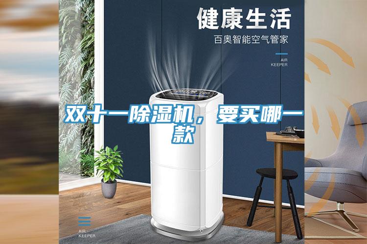 雙十一91看片网站，要買哪一款