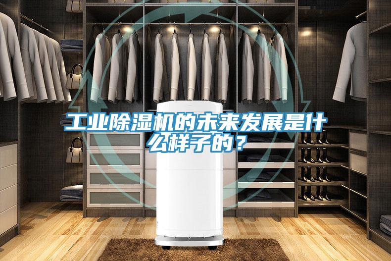 工業91看片网站的未來發展是什麽樣子的？
