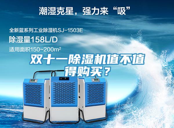 雙十一91看片网站值不值得購買？