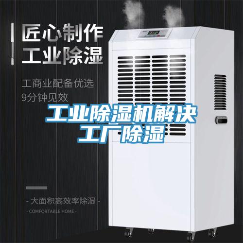 工業91看片网站解決工廠除濕