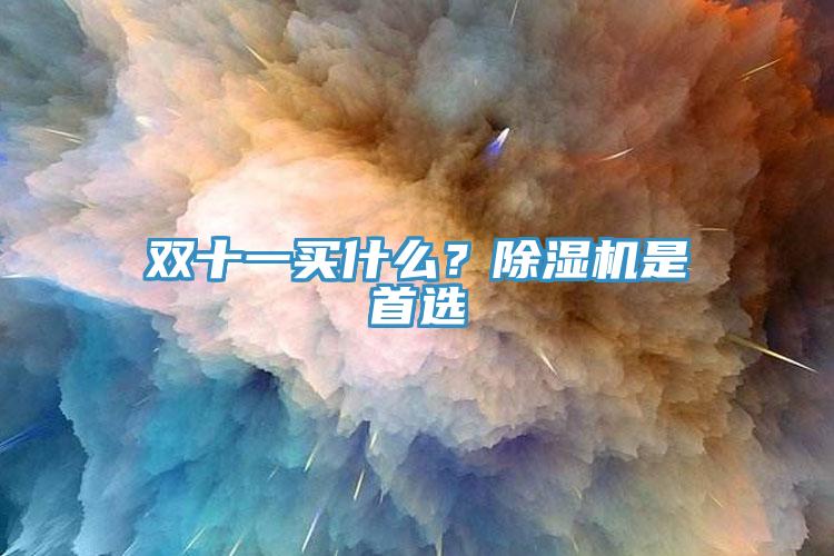 雙十一買什麽？91看片网站是首選