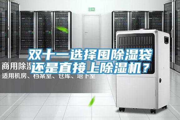 雙十一選擇囤除濕袋還是直接上91看片网站？