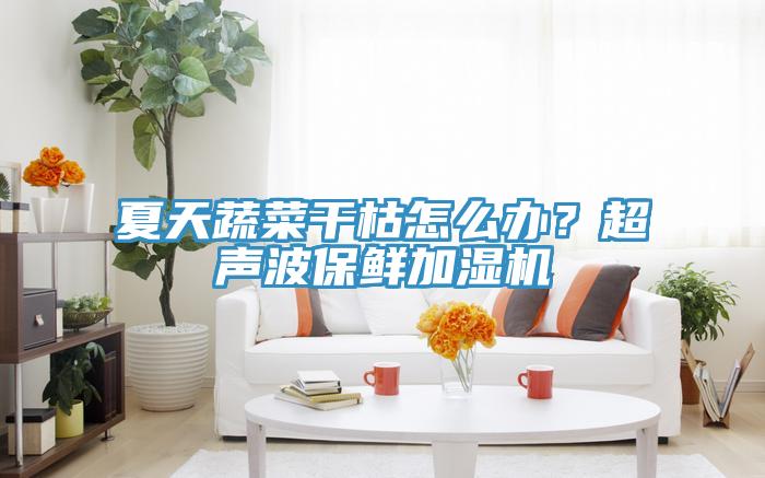 夏天蔬菜幹枯怎麽辦？超聲波保鮮加濕機