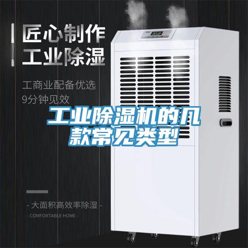 工業91看片网站的幾款常見類型